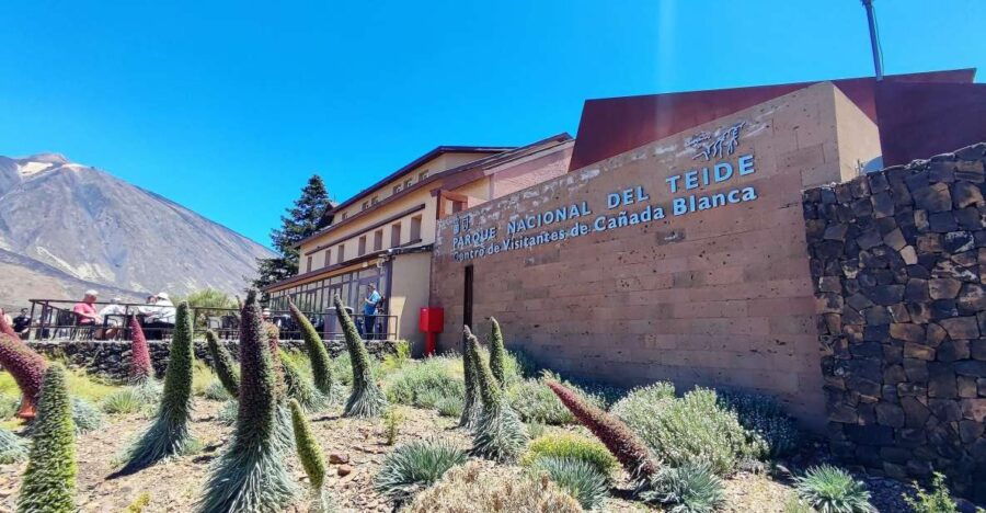 Tenerife: Teide National Park and Masca, Shared Tour (South)