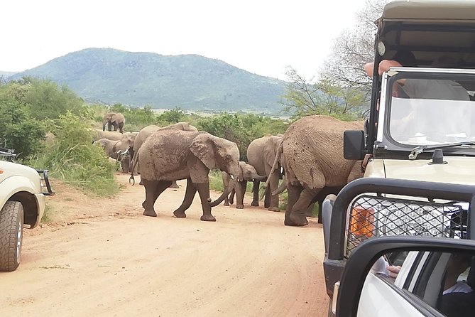 Tented 3-Days Kruger Park Safari From Johannesburg