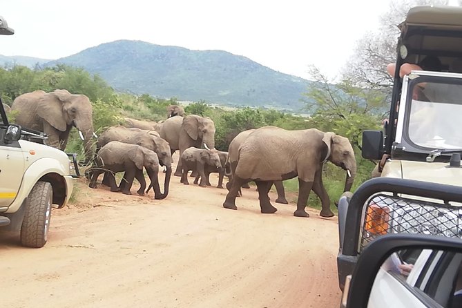 Tented Kruger Park Safari 3-Day From Johannesburg or Pretoria R 7000