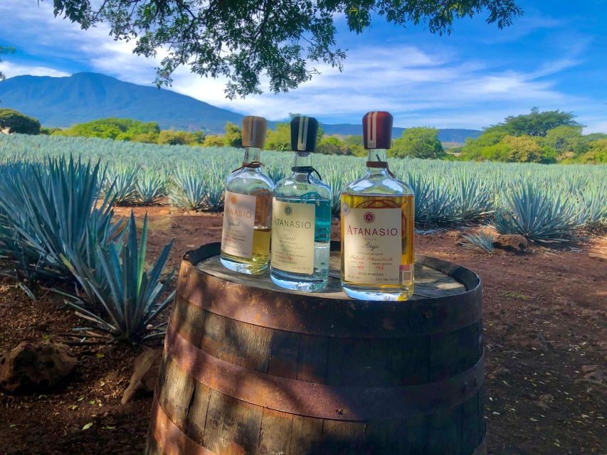 Tequila Full Experience