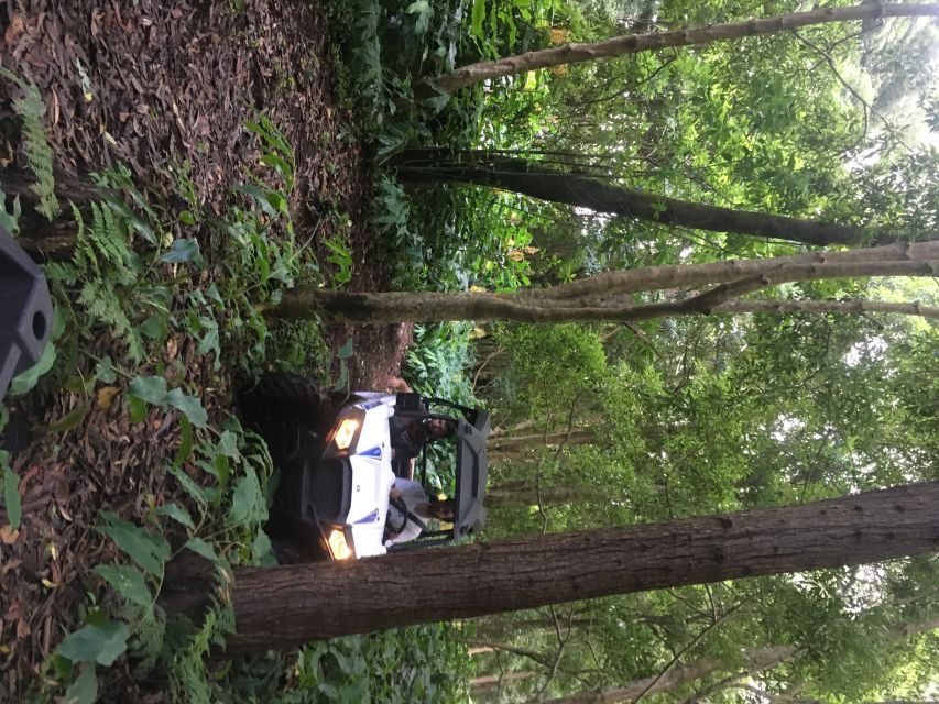 Terceira: Buggy Tour 4×4 West Side Azores Retreat