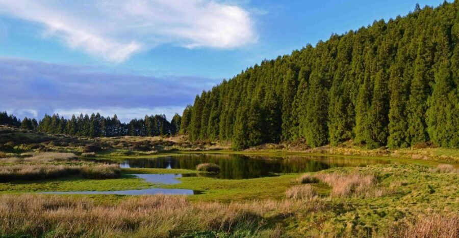 Terceira Island: Mistérios Negros Hike - Good To Know