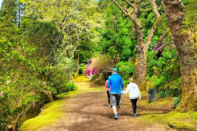 Terceira Island Private Full-Day Slow Tour With Lunch and Pickup - Tour Highlights