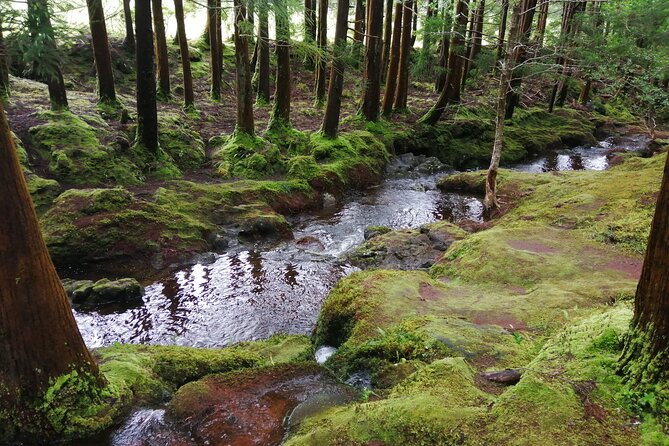 Terceira Island Transfers Azores