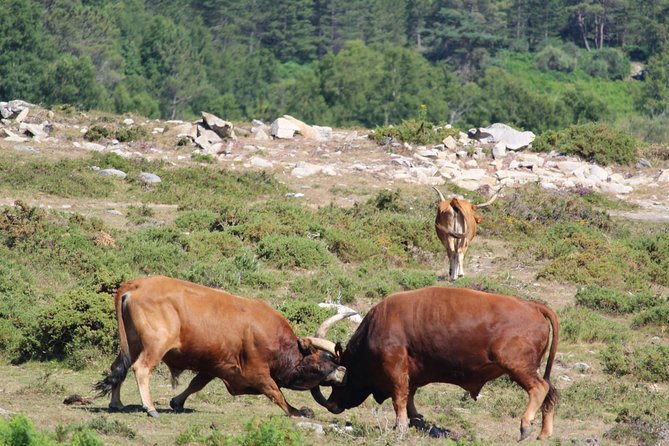 The Adventure National Parc Peneda-Gerês