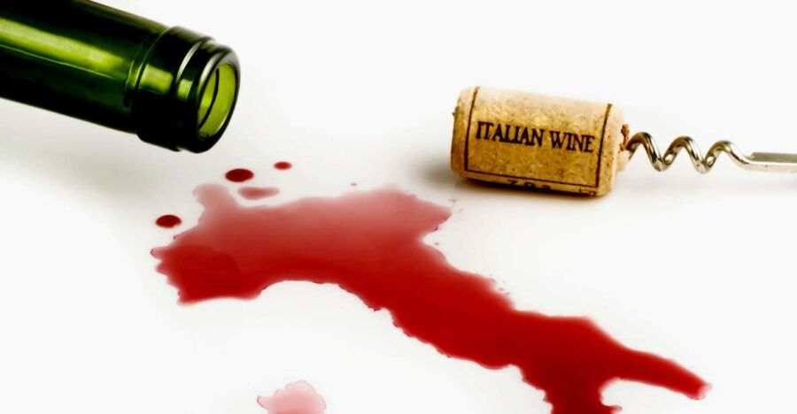 The Art of Wine-Tasting: Multisensory, of Course! - Good To Know