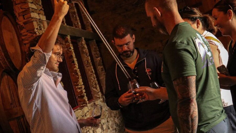 The Best Douro Wine Tour From Porto - Good To Know