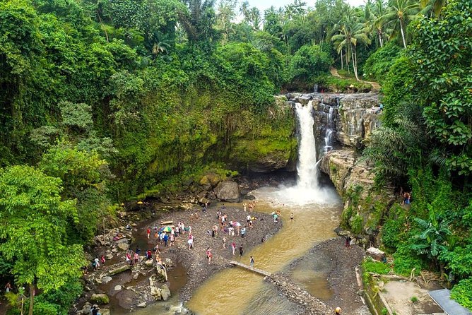 The Best of Ubud With French-Speaking Guide: Waterfall, Rice Terrace, Temple, Coffee Tour - Good To Know