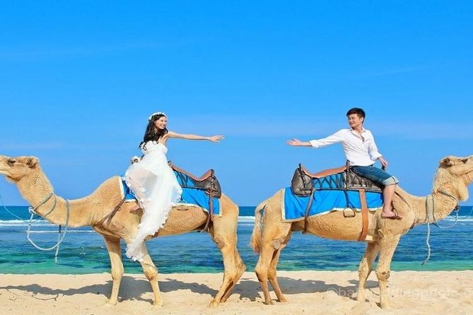 The Best Trip With Camel Safari 30 Minutes in White Sand Beach