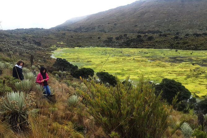 The Biggest Paramo on Earth: Sumapaz - Good To Know
