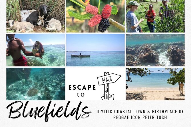The Bluefields Experience: Organic Farm, Beach & Coral Reef - Good To Know