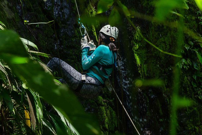 The Cañoning Jungle Adventure!