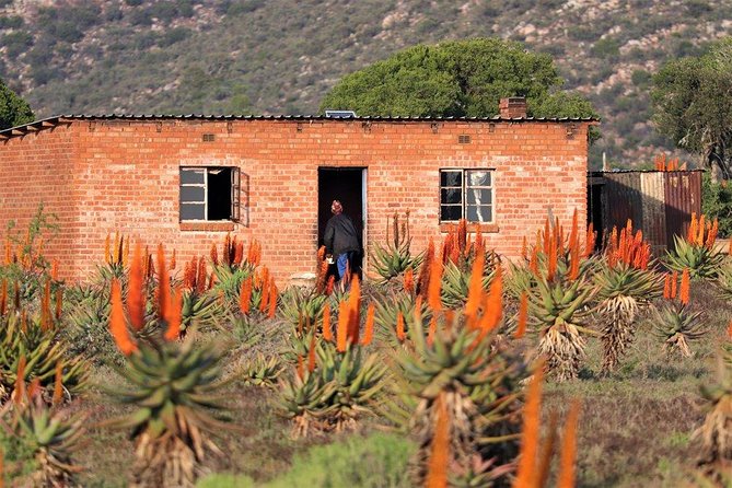 The Eastern Cape Wild Aloe Tour From Port Elizabeth - FD14 - Good To Know