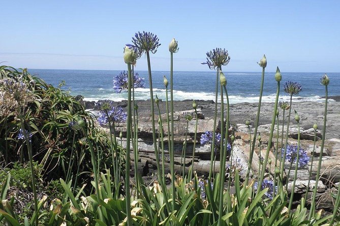 The Garden Route From Port Elizabeth to the Crags – FD07