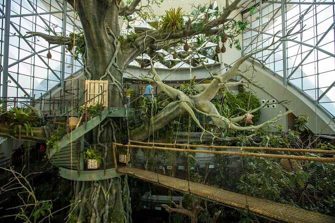 The Green Planet Dubai - Location and Concept