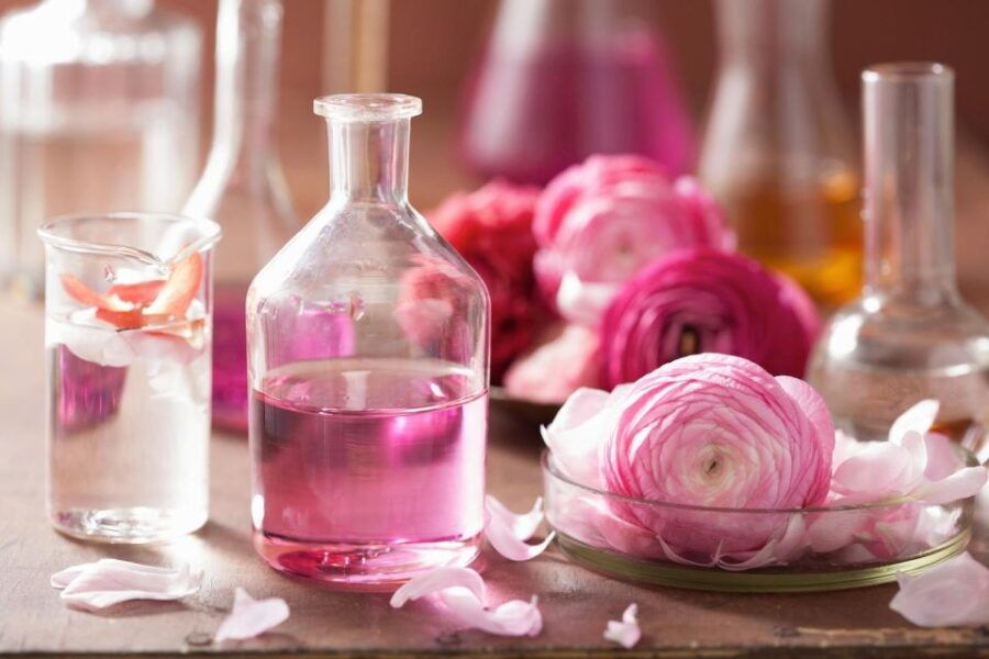 The Jewels of Provence