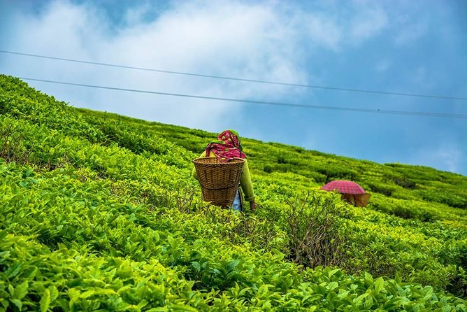 The Land Mark Tour (Nautical Day Darjeeling to Mirik Crusade)