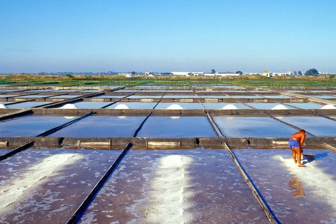 The Little Venice of Portugal: Aveiro Small Group Tour With Typical Boat Ride - Tour Pricing and Booking