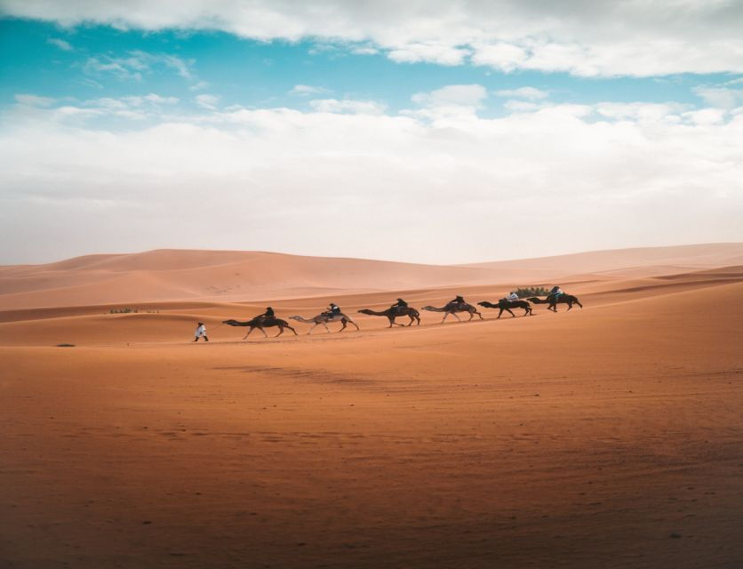 The Luxury 2days 1night Desert Tour From Fez to Fez/Marakech - Good To Know