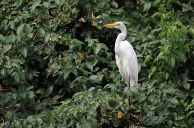 The Nature Trail at Chorao Island