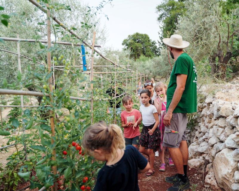 The Olive Oil Experience @ Lefkada Micro Farm - Good To Know