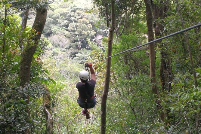 The Original Canopy Tour Monteverde, Zipline - Good To Know