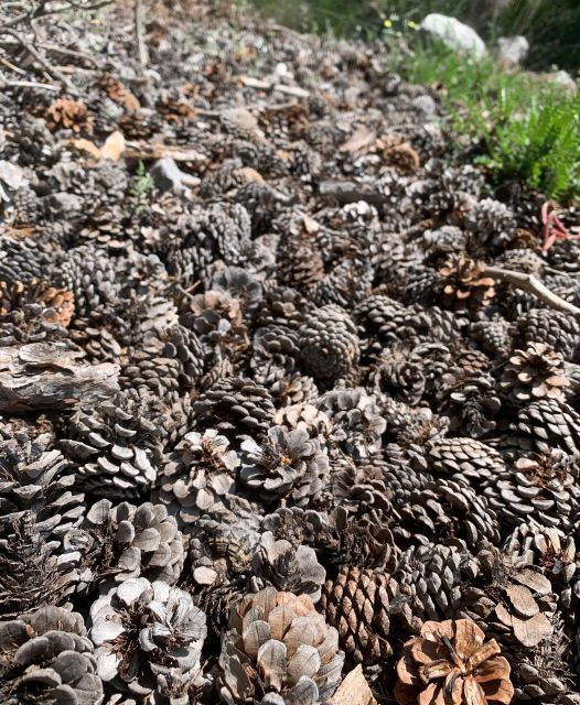 The Parnon Ridge: Ancient Paths, Nature and Local Villages - Good To Know