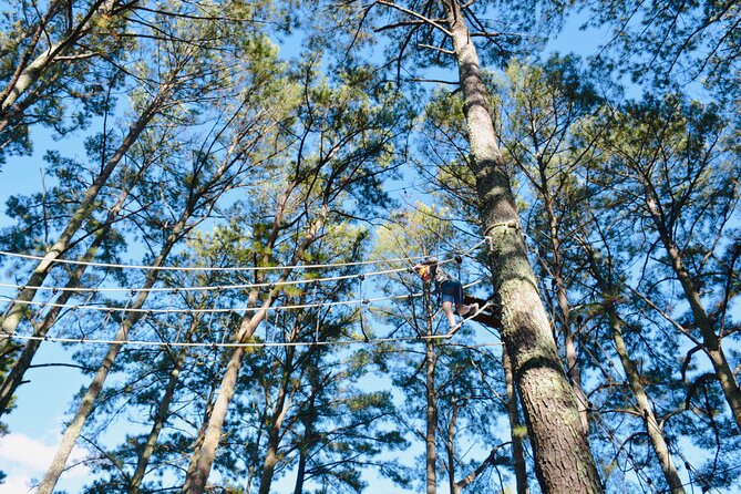 The Raptor, High Rope Course and Zipline Tickets, Wheeler Lake KOA