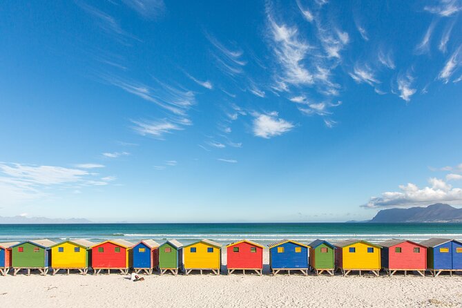 The Road Trip (Cape Point and Penguins) - Scenic Route to Cape Point