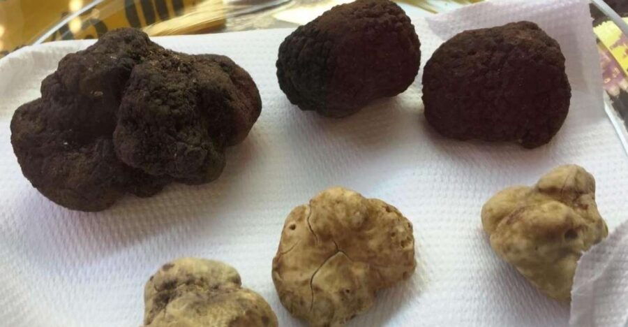 The Truffle Experience in Rome - Good To Know