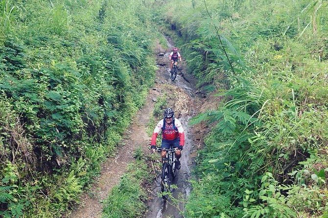 The Volcano Trail - Good To Know