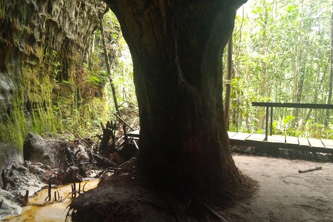 The Waterfalls of President Figueiredo – Day Tour in the Amazon