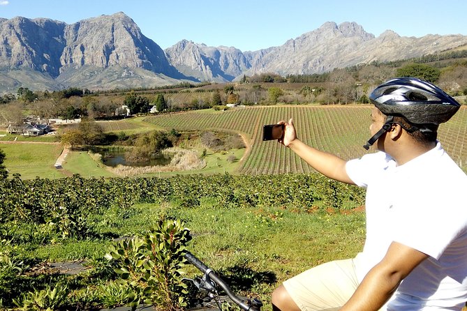 The Wine Story of Cape Town 2020 - Good To Know