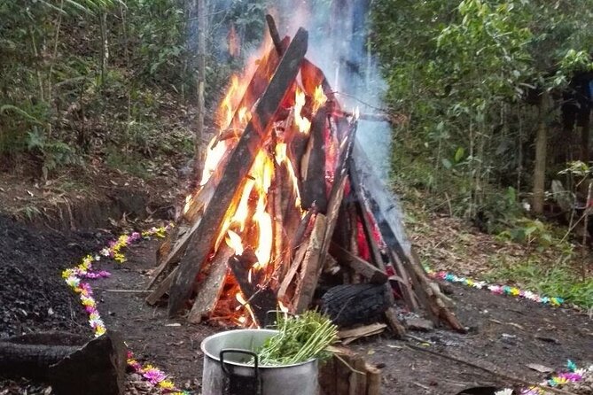 Therapeutic Temazcal: Harmony and Rebirth in the Forest - Good To Know