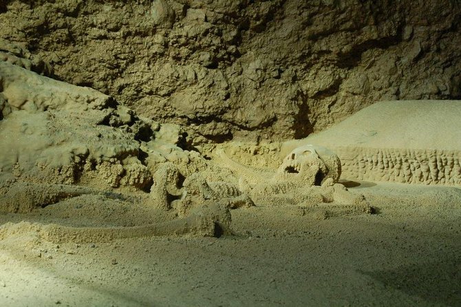 Thrilling Adventures Await in San Ignacio