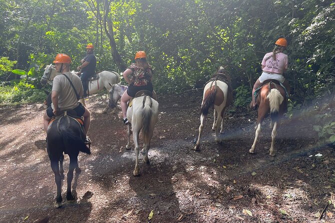 Thrilling Horseback Adventure in San Jose - Good To Know