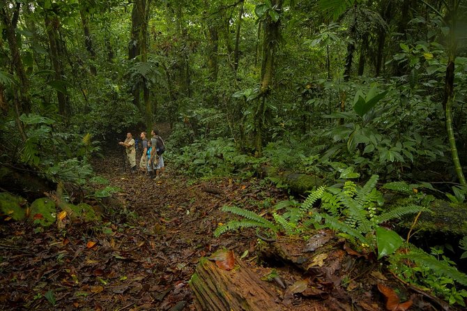 Thrilling Jungle Adventure in Costa Rica’s Rainforest