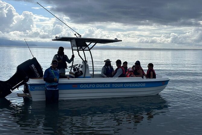 Thrilling Puerto Jiménez Adventure: Whale Watching Bonanza
