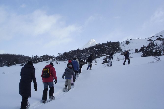 Thrilling Winter Night Adventure in Ushuaia - Good To Know