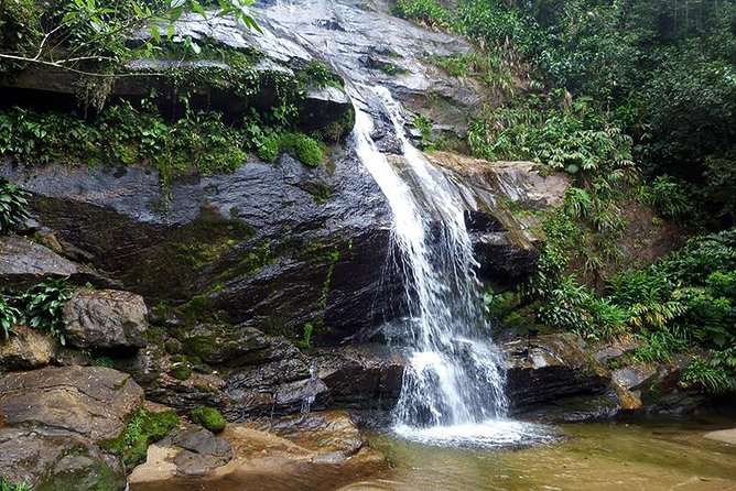 Tijuca Forest Hiking Tour Including Waterfalls - Good To Know
