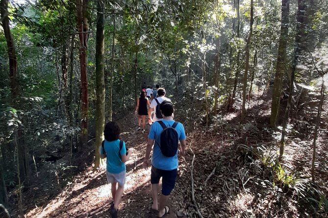 Tijuca National Park and All Its Wonders - Good To Know