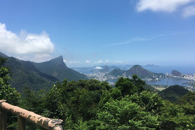 Tijuca National Park Half-Day Hiking Tour  - Rio De Janeiro - Good To Know