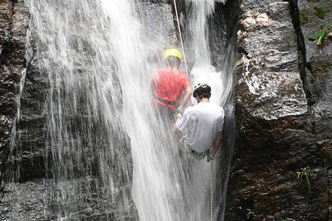 Tijuca National Park Hike and Waterfall Rappelling - Good To Know