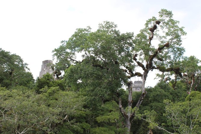 Tikal Exclusive Tour From Flores All-Inclusive - Tour Overview and Details