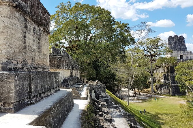 Tikal From Flores or Mundo Maya Airport With Transportation, Local Guide and Lunch