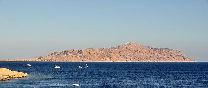 Tiran Island Snorkeling Experience by Yacht Sharm El Sheikh