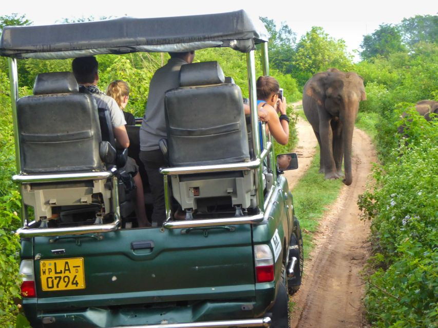 Tissamaharama: Yala National Park Buffer Zone Night Drive - Good To Know