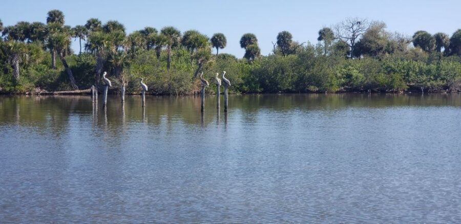 Titusville: Fox Lake Guided Hike With Outdoor Yoga Session - Good To Know