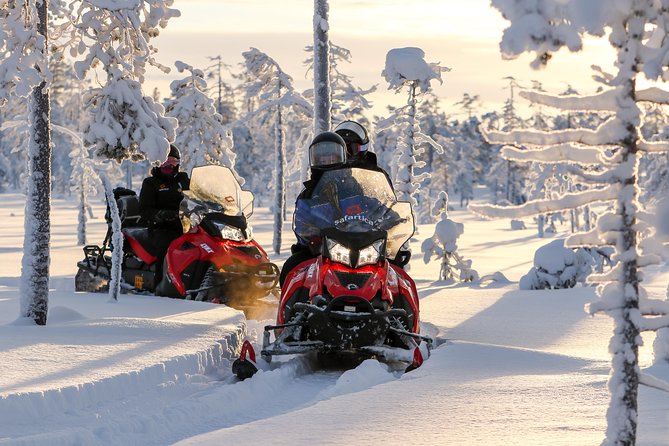 To the Kingdom of Snow and Ice – Full Day Snowmobile Safari to Ice Hotel - Good To Know