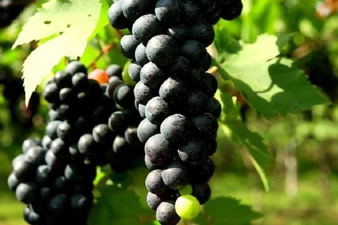 Toast Around Bali - Good To Know